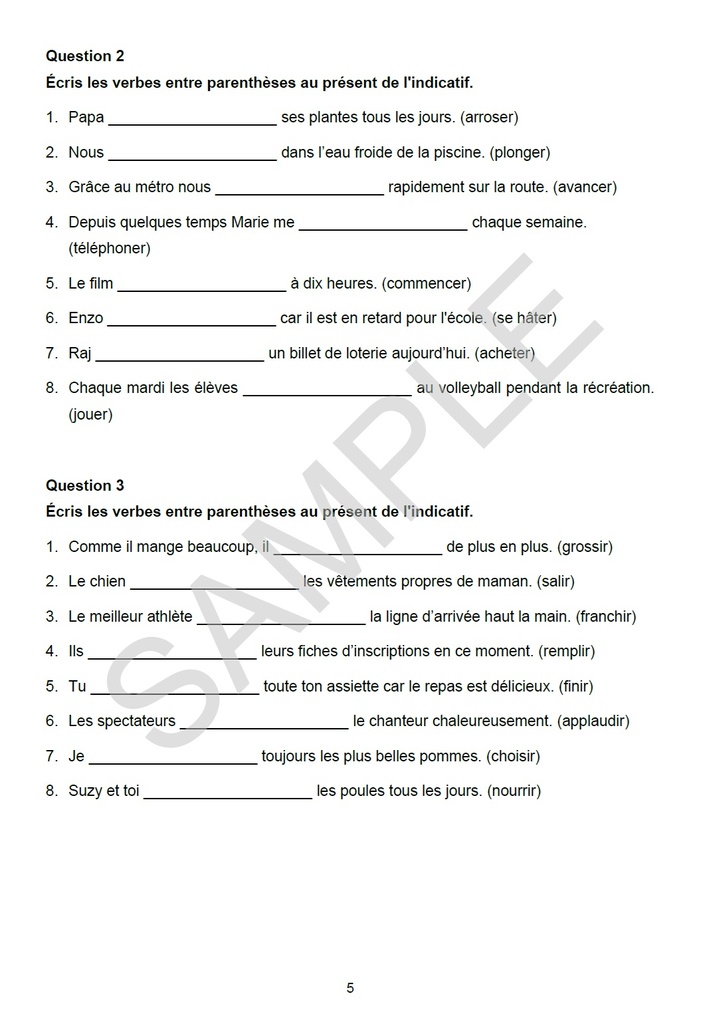 Intensive Practice Grade 6 French Workbook