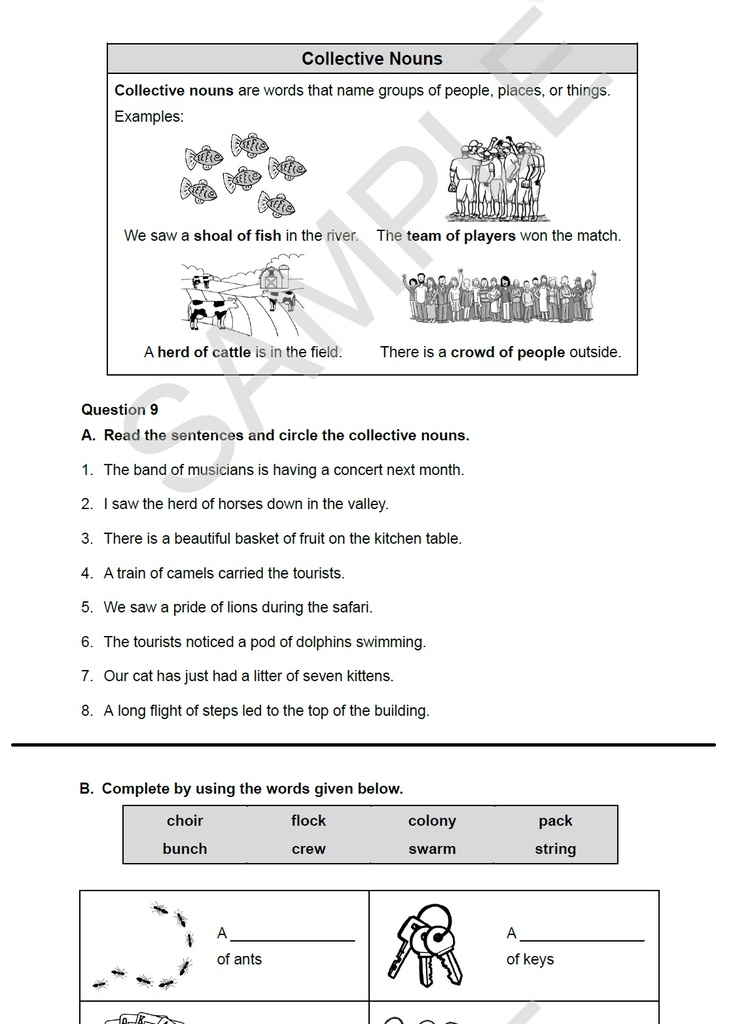 Intensive Practice Grade 5 English Workbook