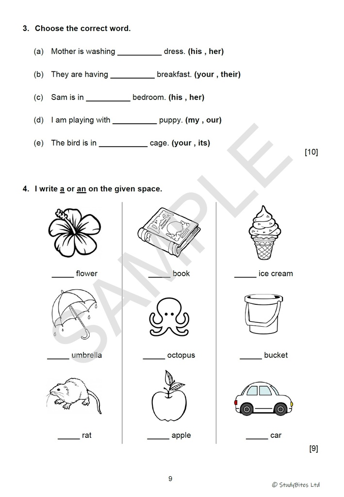 Set to Success Grade 2 - 3 in 1