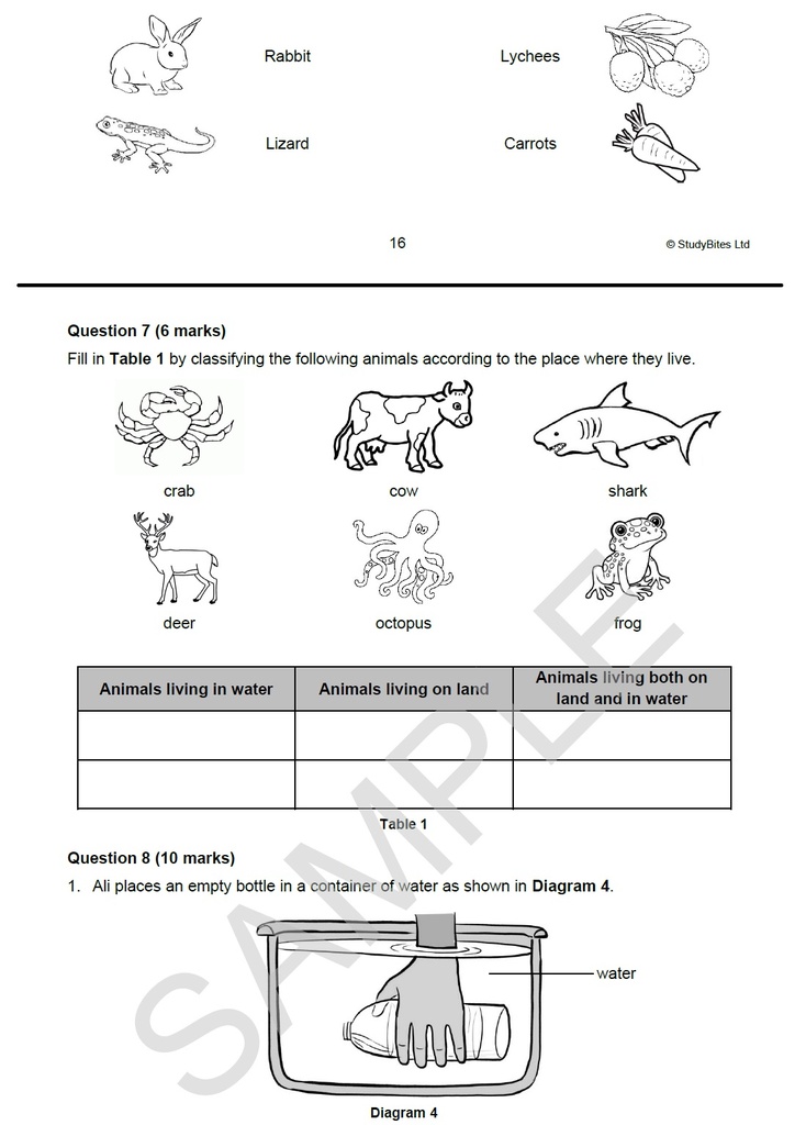 Set to Success Grade 3 - 4 in 1