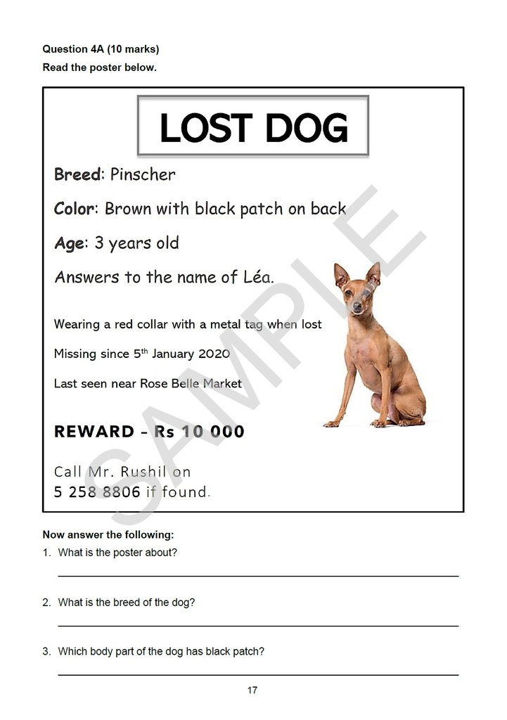 Set to Success Grade 6 - Math Eng & Fr