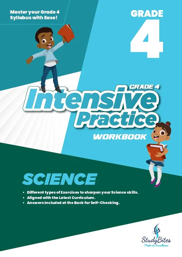 Grade 4 Intensive Practice Workbook Science