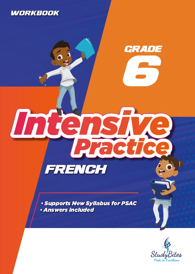 Intensive Practice Grade 6 French Workbook