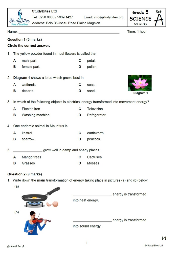 Grade 5 Mock Papers - Set A (5 in 1)