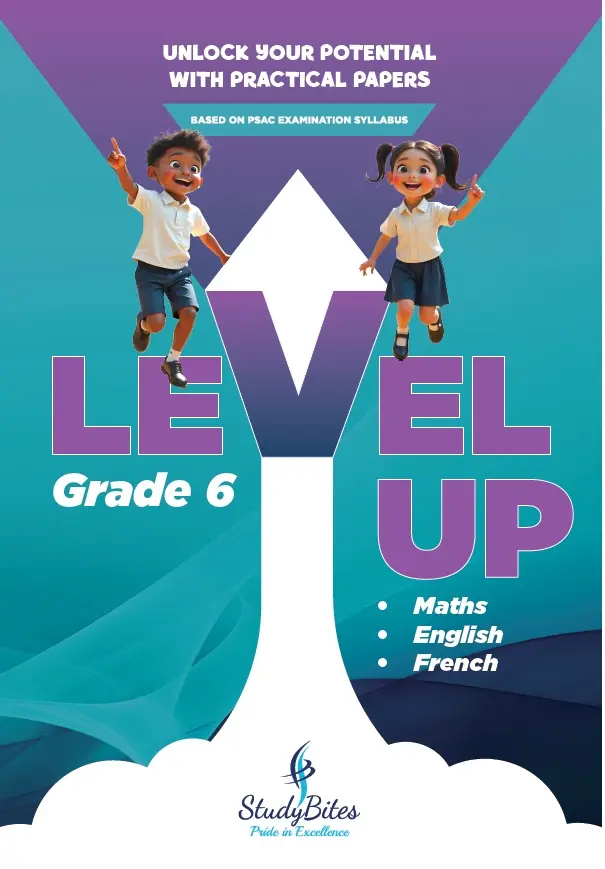 Level Up Grade 6 Math Eng French
