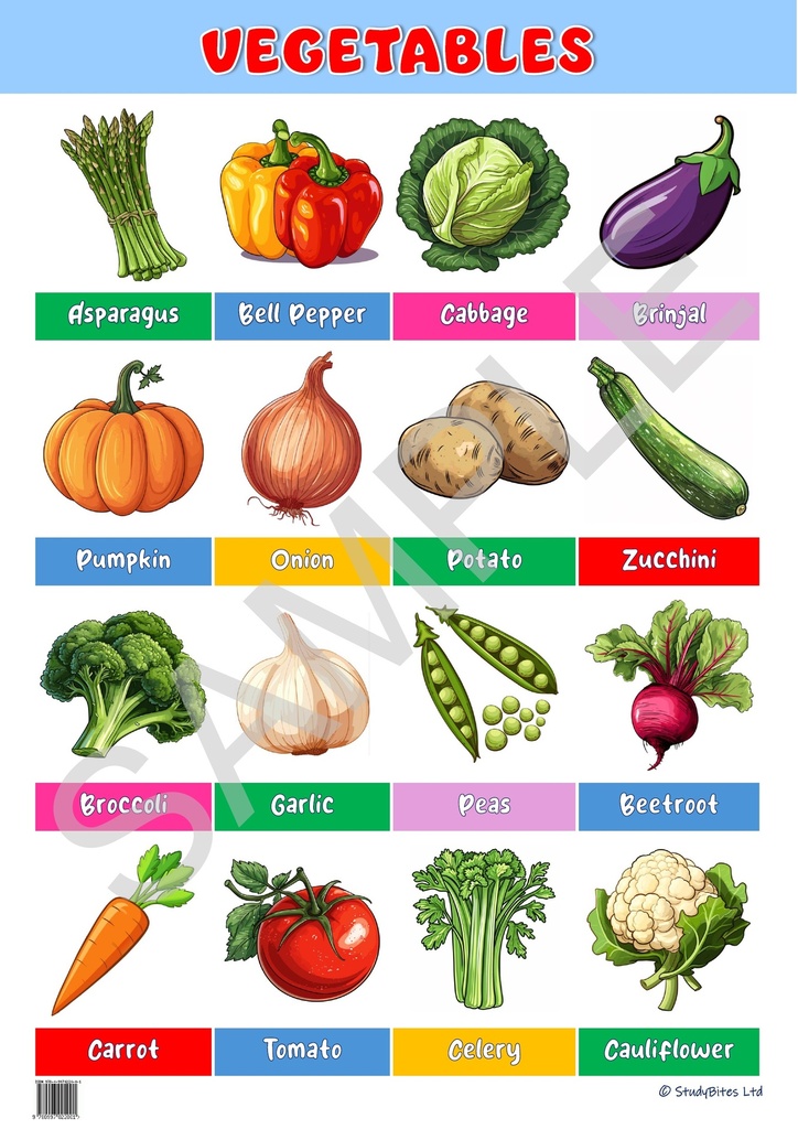 Educational Charts 68 x 48cm - Vegetables