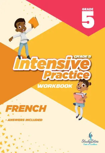 Intensive Practice Grade 5 French Workbook