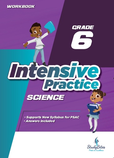 Intensive Practice Grade 6 Science Workbook