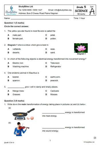 Grade 5 Mock Papers - Set A (5 in 1)