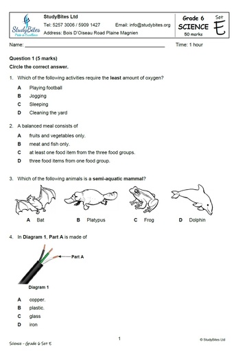 Grade 6 Mock Papers Set E (5 in 1)