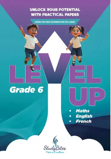 Level Up Grade 6 Math Eng French