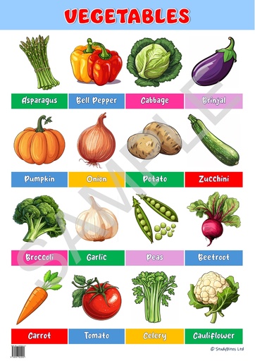 Educational Charts 68 x 48cm - Vegetables